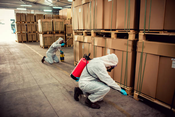Best Exterminator Services  in Douglas, AZ