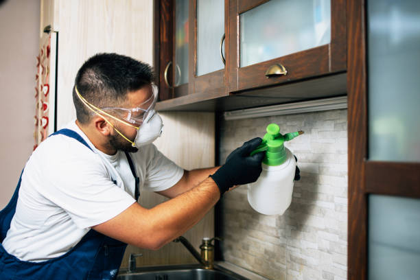 Trusted Douglas, AZ Pest Control Experts