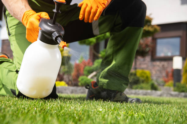 Best Mosquito Control Services  in Douglas, AZ