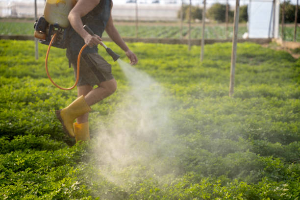 Best Pest Control Cost  in Douglas, AZ